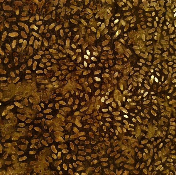 tela batik granos de cacao